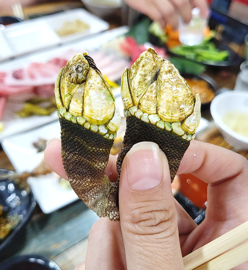 파닥파닥회참치 이미지