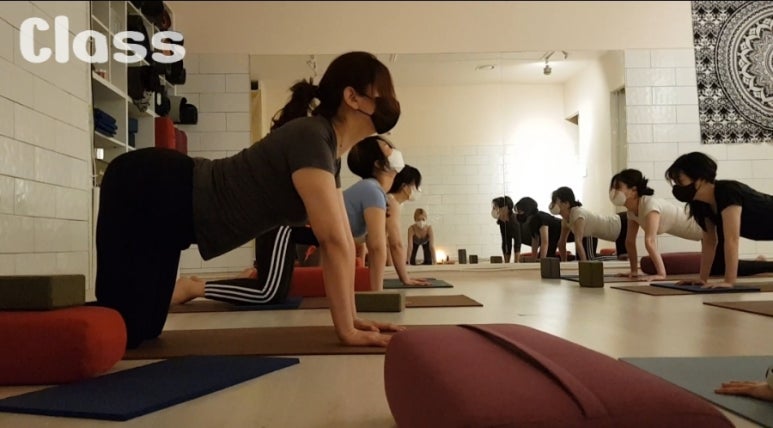 블리스캣 이미지