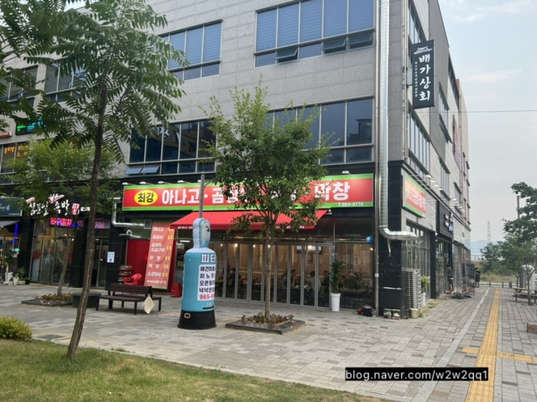 최강아나고 이미지