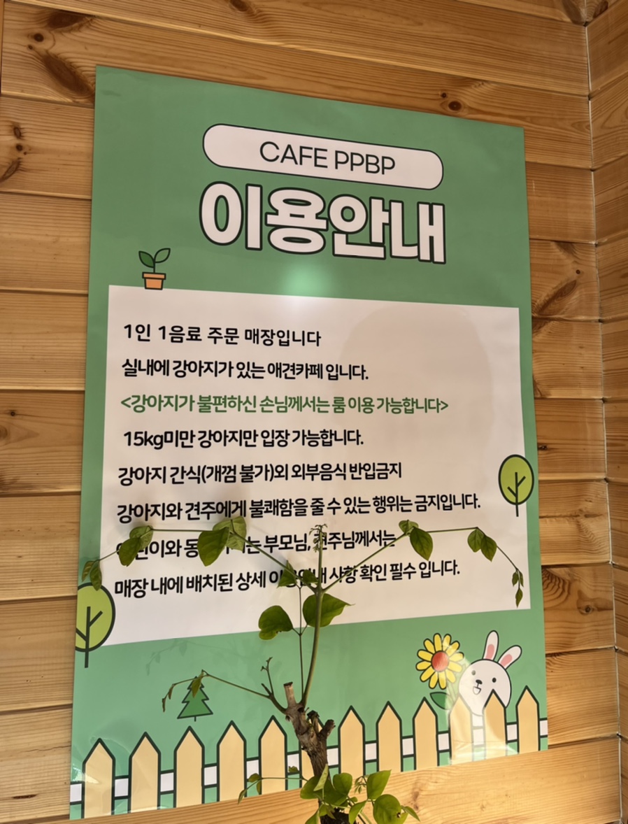 피피비피 이미지