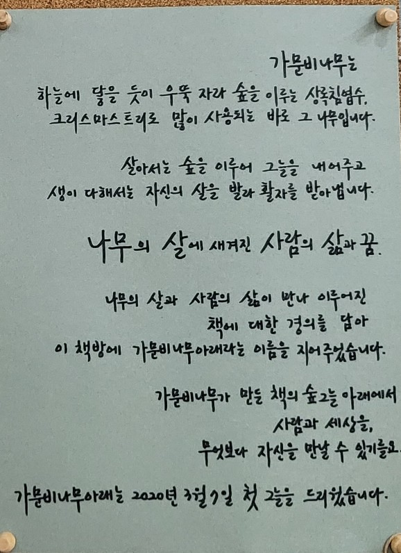 가문비나무아래 이미지