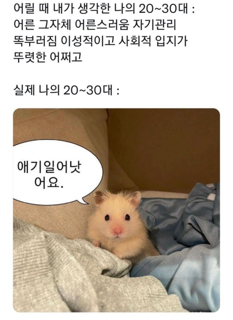 (주)참좋다 이미지