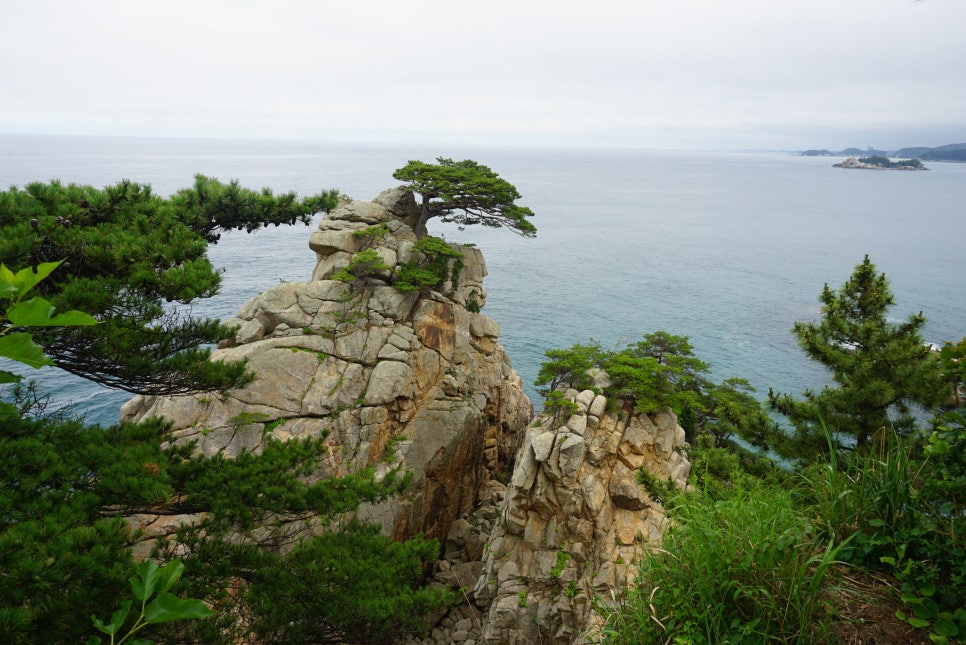 해파랑길 42코스 이미지