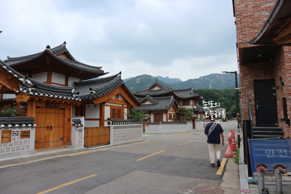 은평한옥마을 강아지 산책 코스 및 즐길 거리 — 사진 14