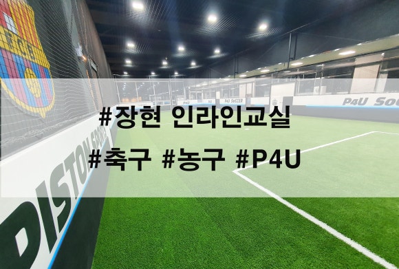 피포유 이미지