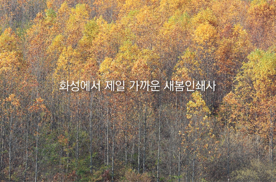 제일인쇄사 이미지