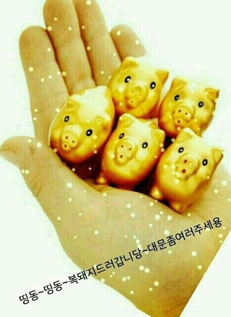 안테나하우스슈퍼 이미지