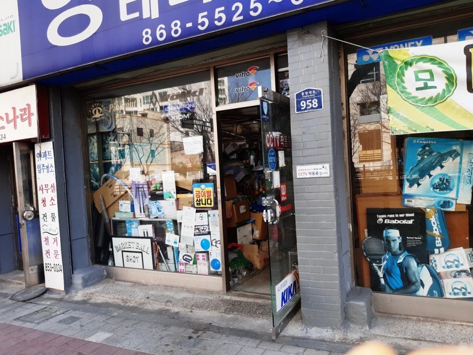 영스포츠 이미지