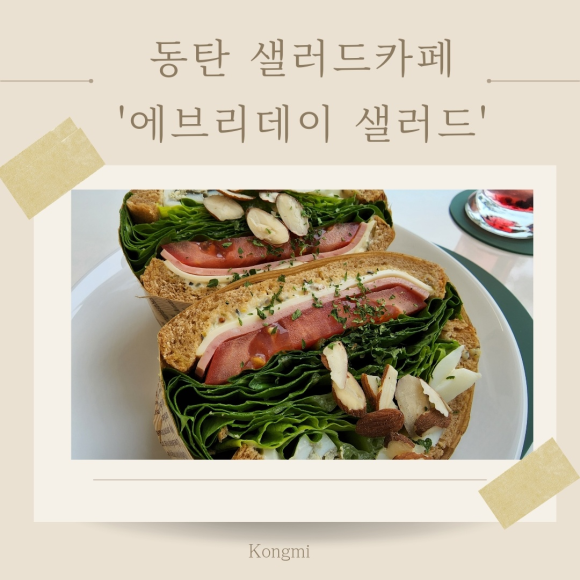 에브리데이샐러드 이미지