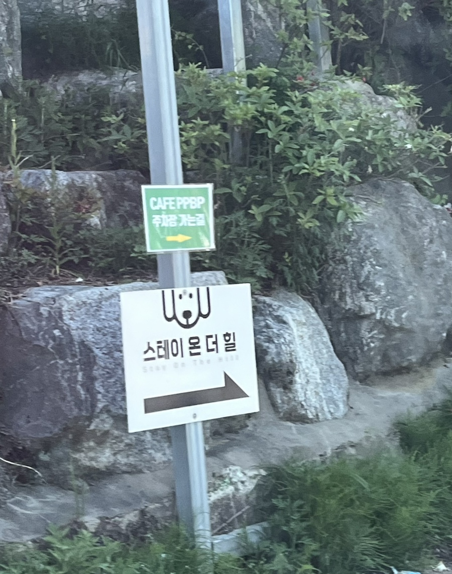 피피비피 이미지