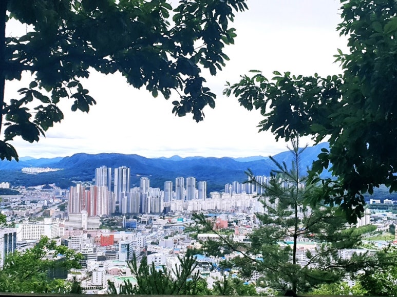 봉의산가는길 이미지