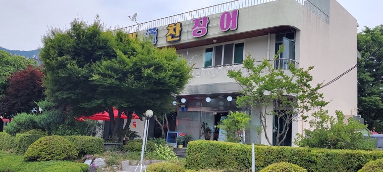 기통찬장어 이미지
