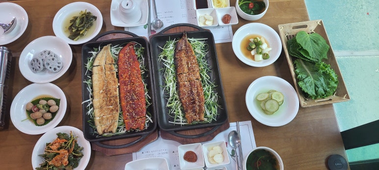 기통찬장어 이미지