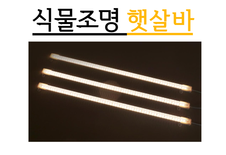 태양전파사 이미지