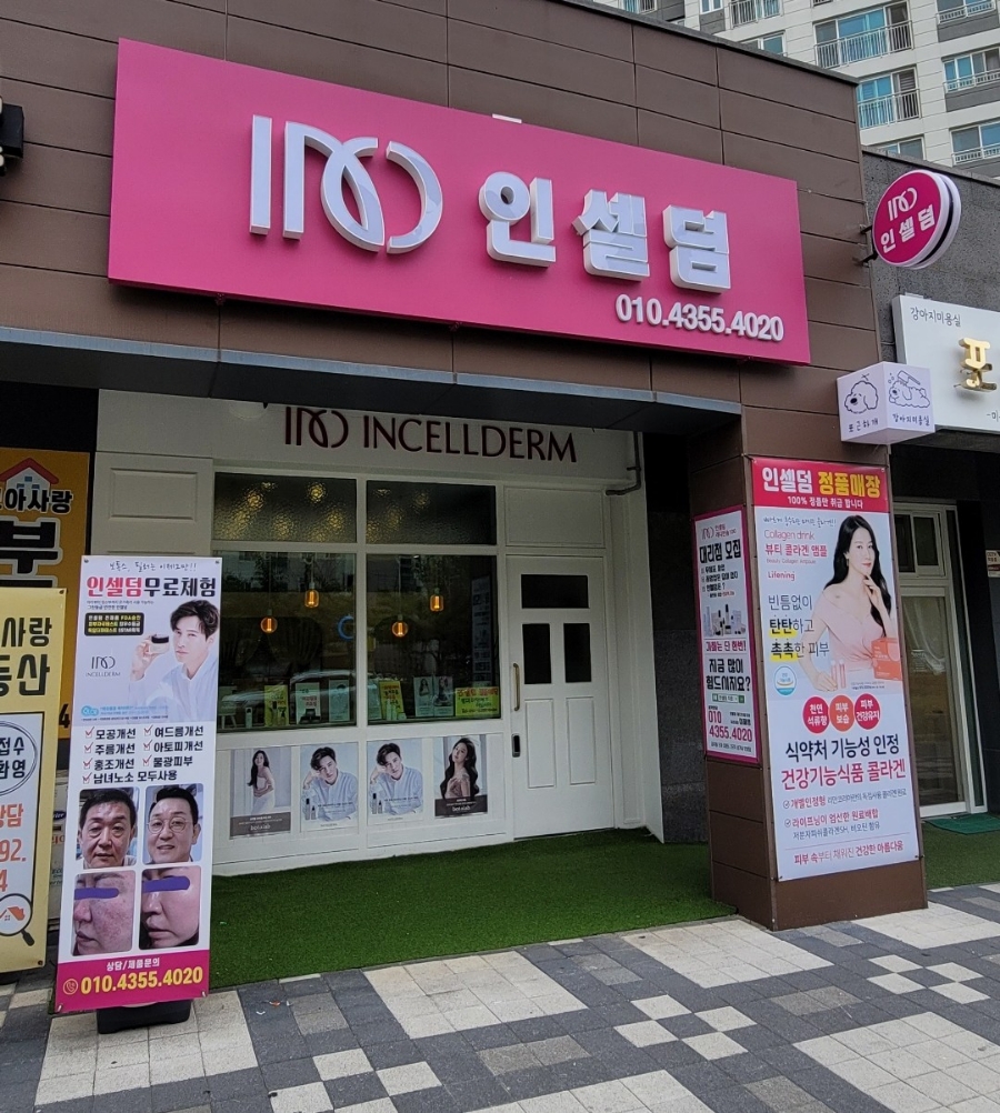 인셀덤다온 이미지