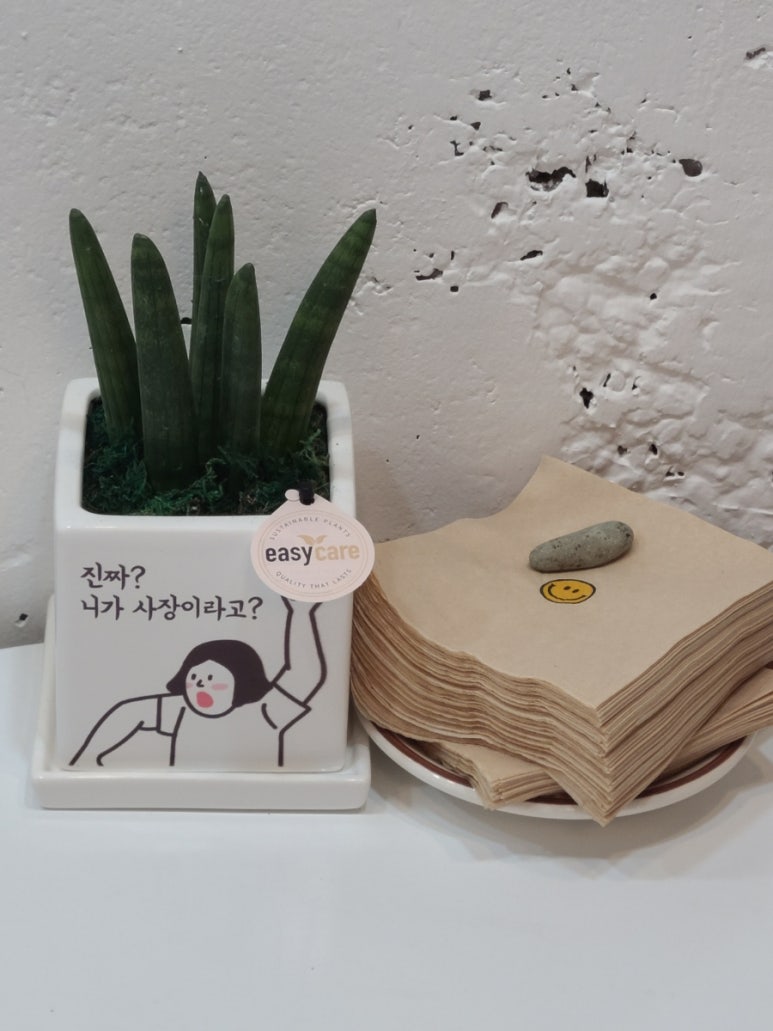 샌두 이미지