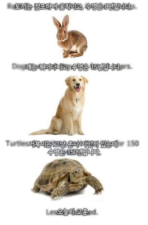 단디 이미지