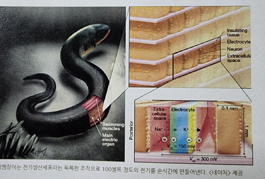 고대에너지 이미지