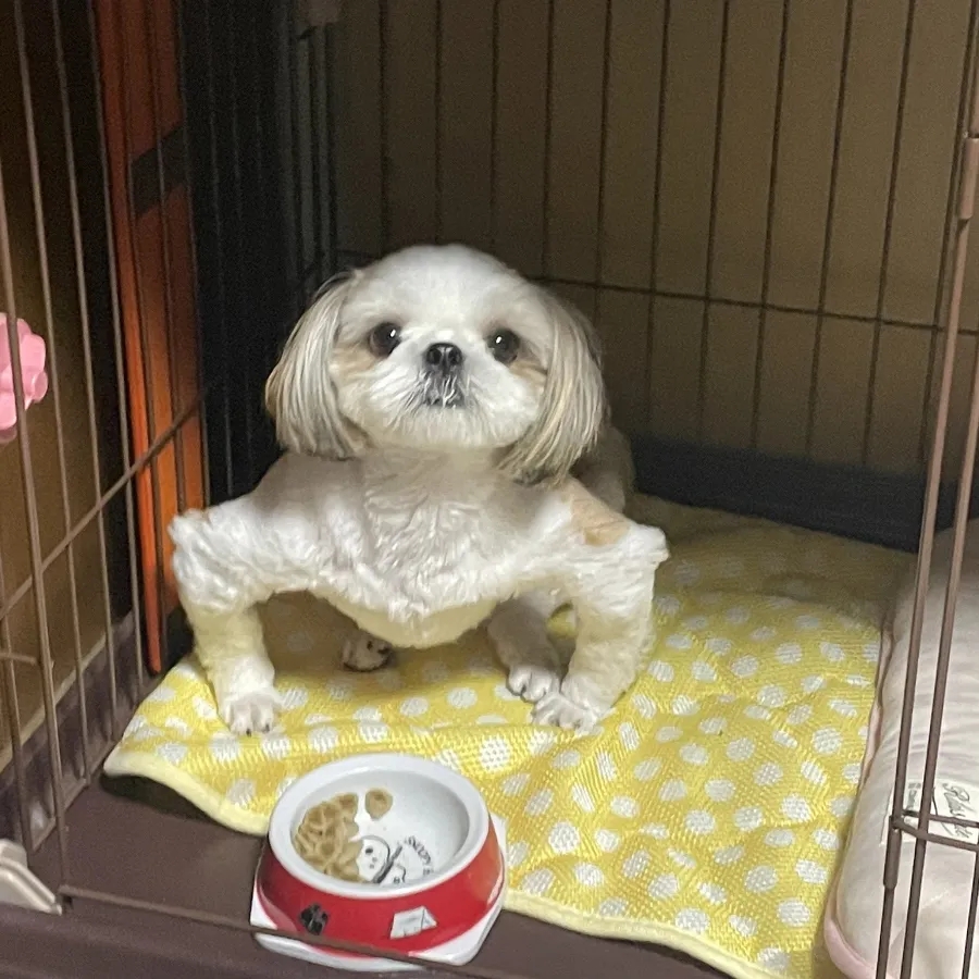 형님 이미지