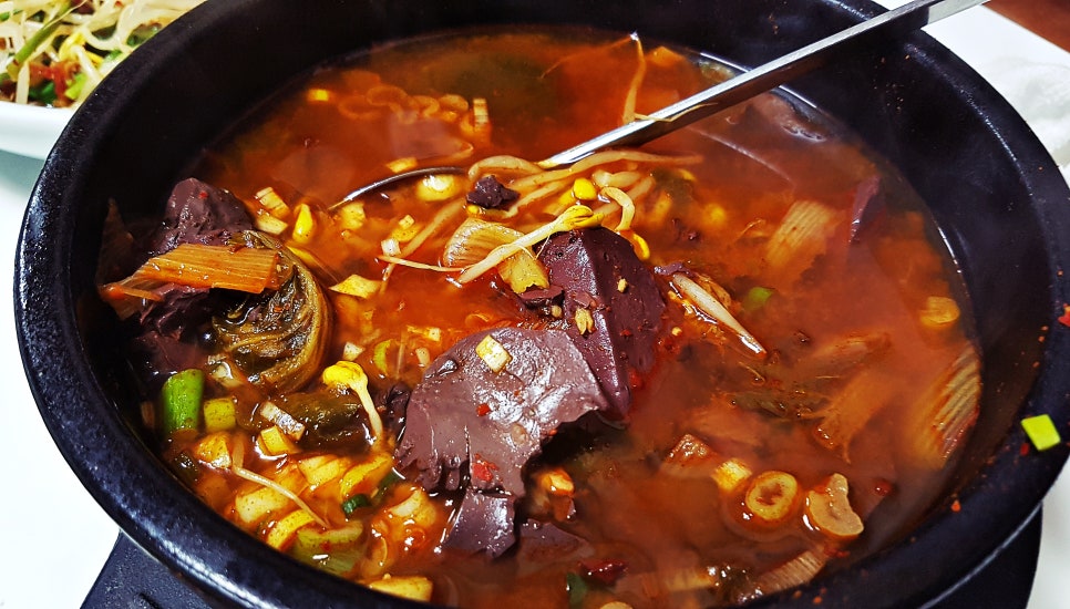 홍탁나라 이미지