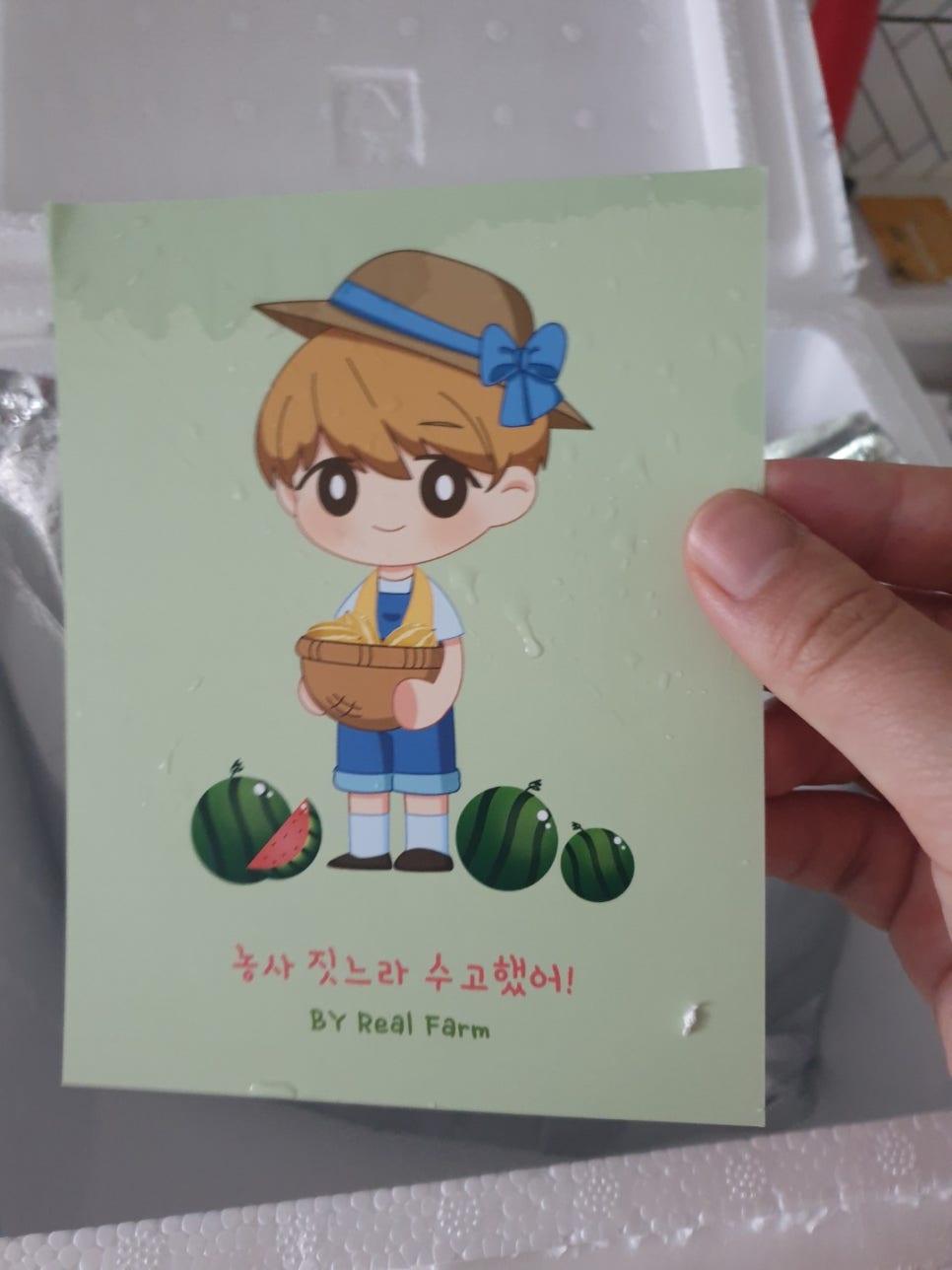 사성육 이미지