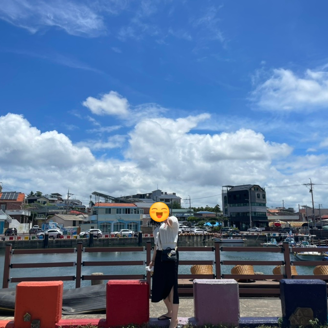 돼지당 이미지