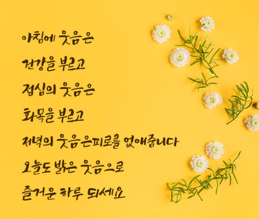 황제능이버섯백숙 이미지