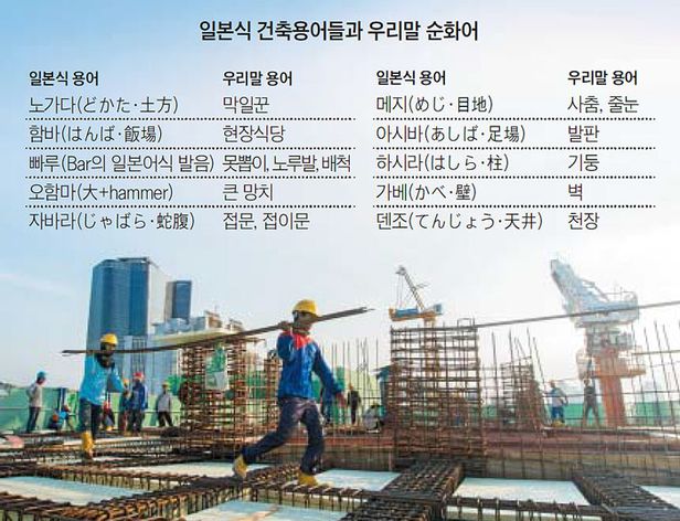 오라인력 이미지