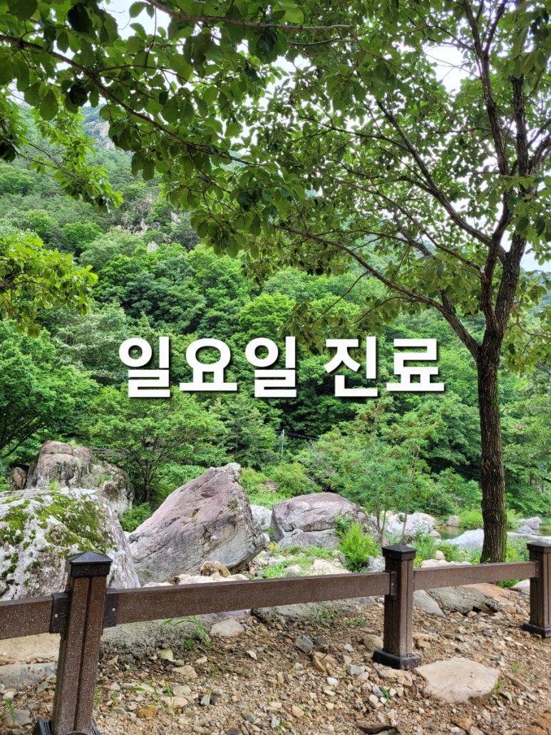 연세홈닥터의원 이미지