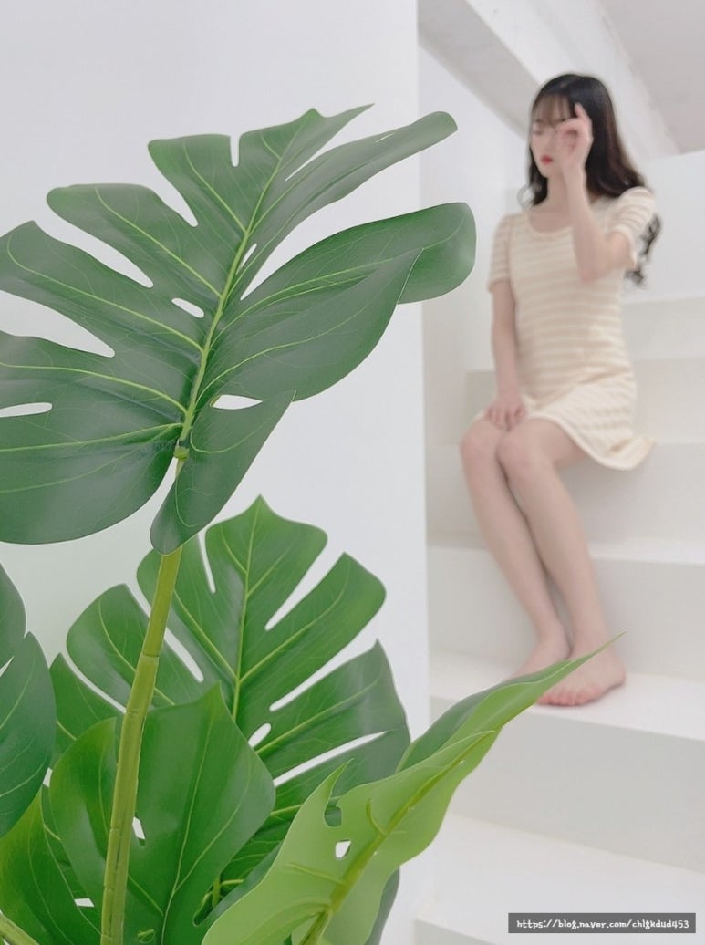 오어룸 이미지