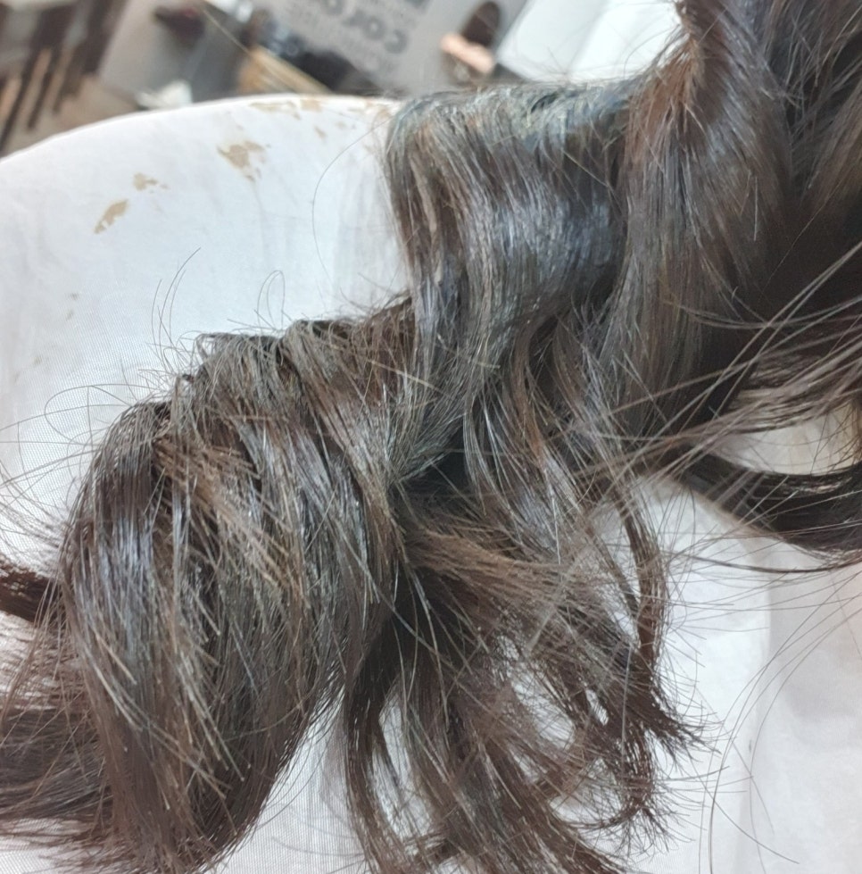 윤희살롱 이미지