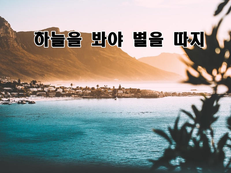 화.수.목(花.水.木 이미지