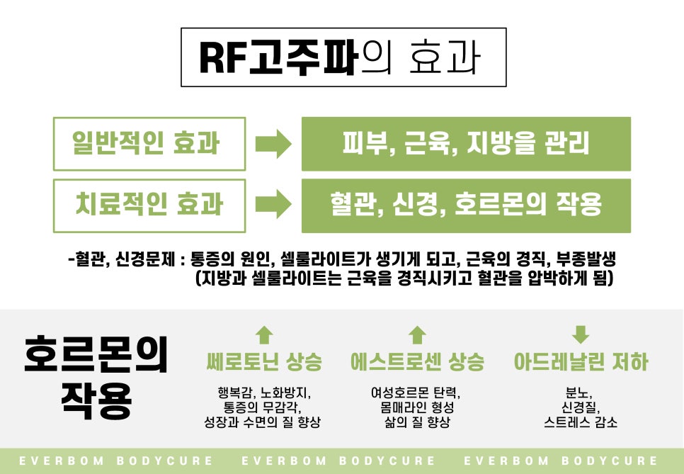 에버바이오 이미지