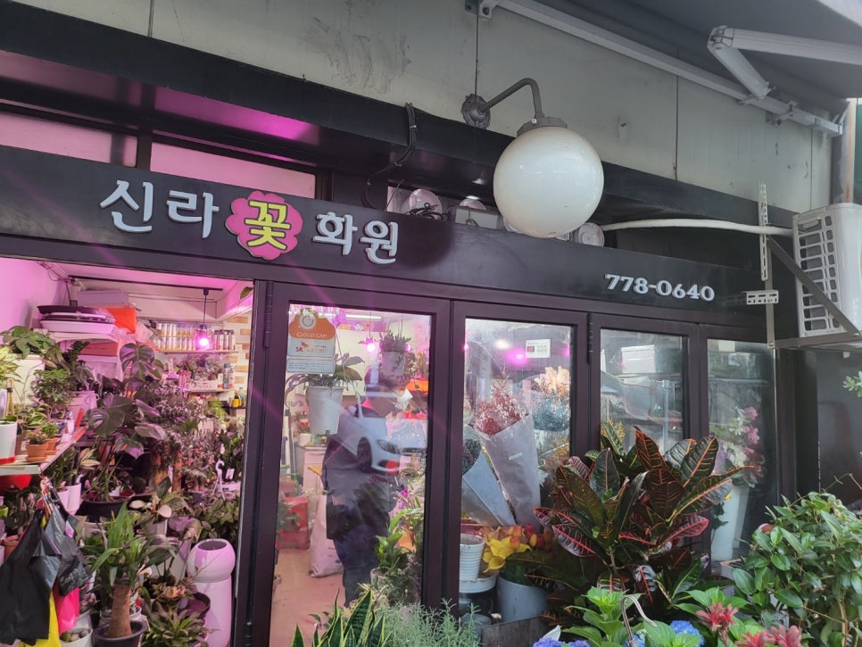 신라화원 이미지