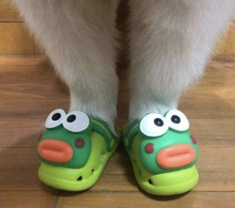 빠리당 이미지
