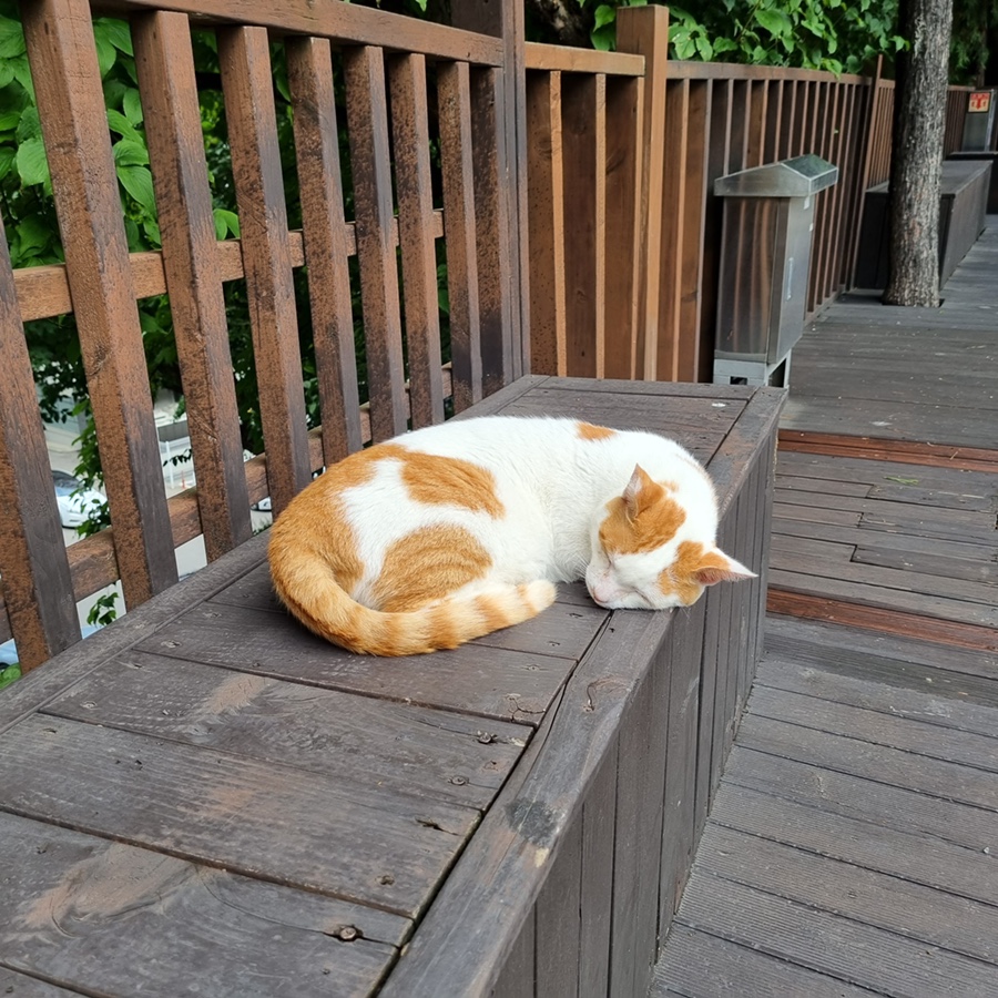 민정식당 이미지