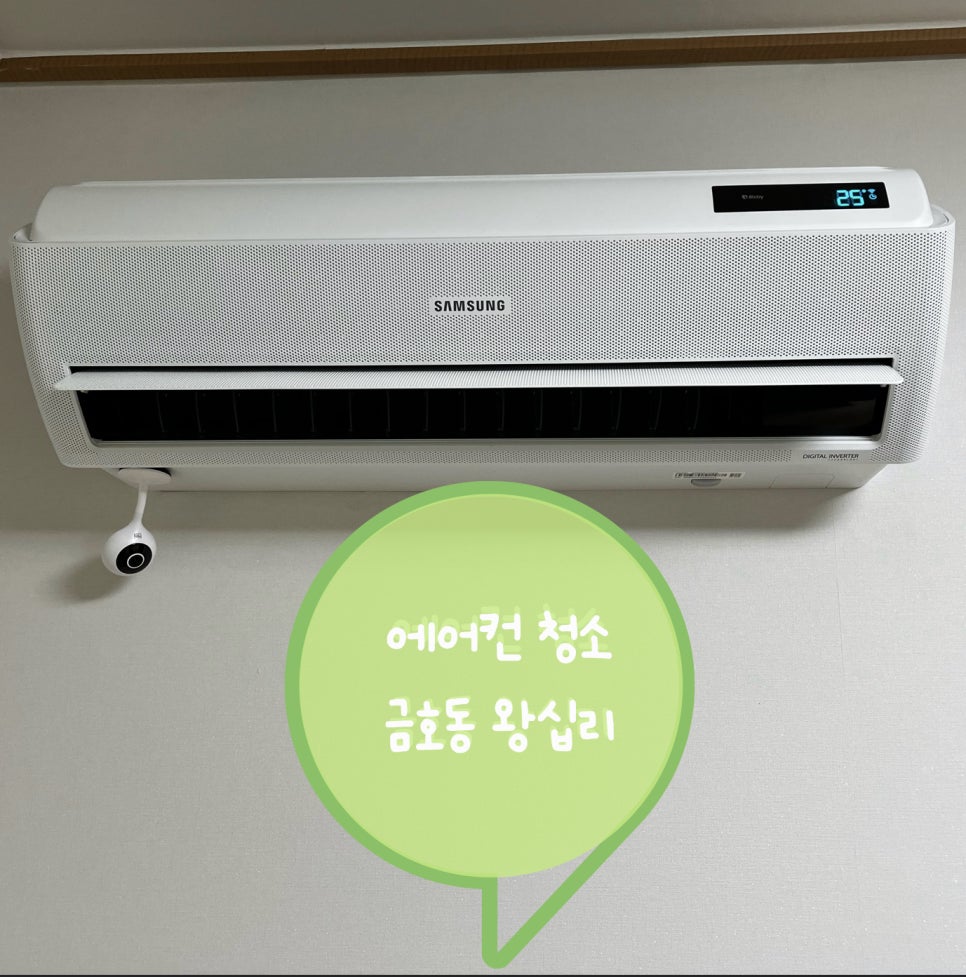 크린퀸 이미지