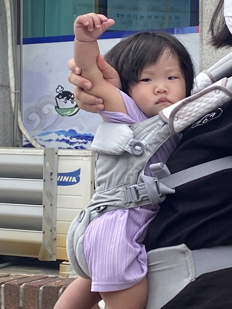 거북이복집 이미지