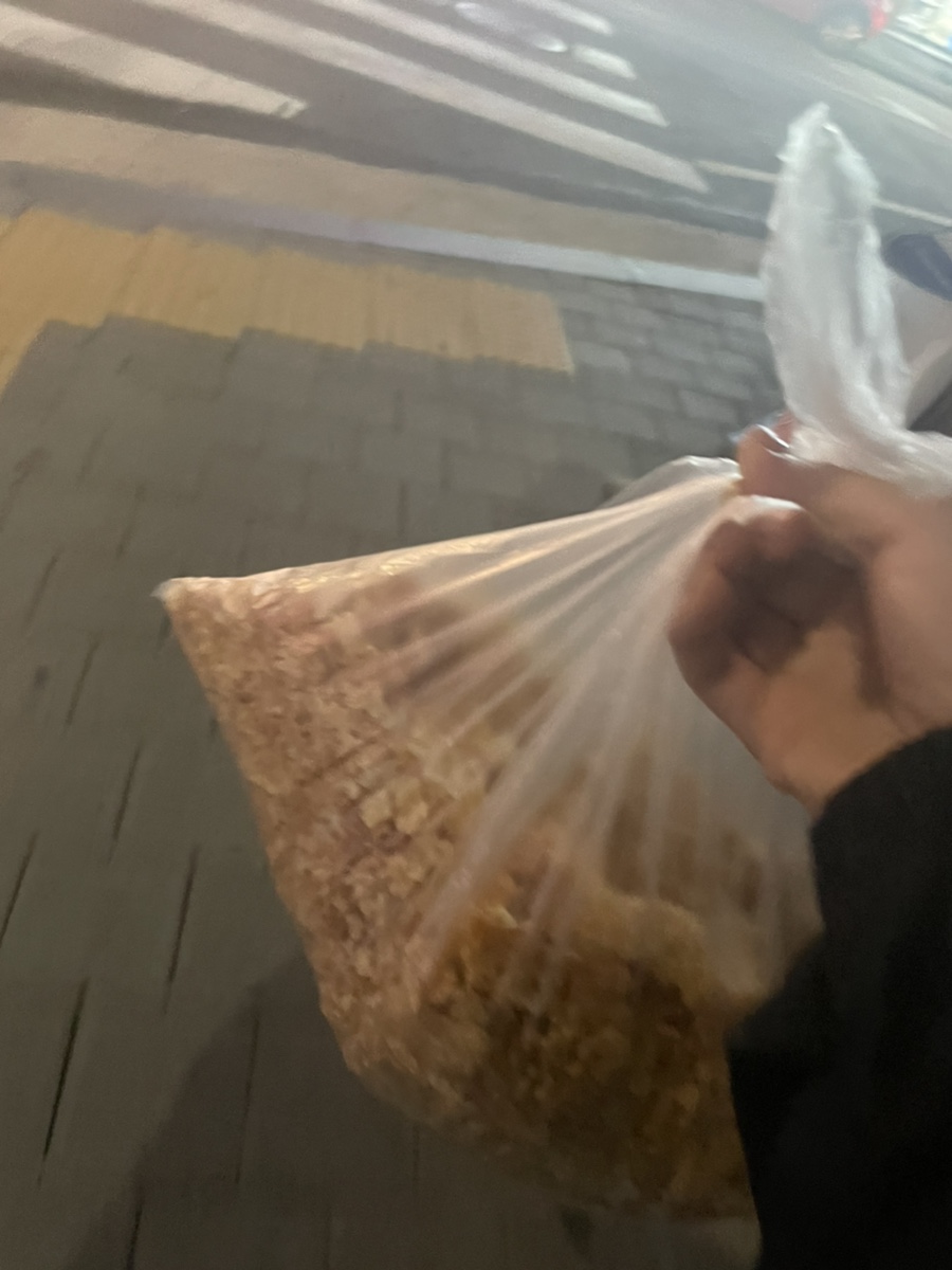 빵내솔 이미지