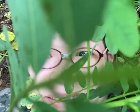 도리쿤 이미지