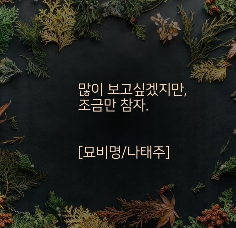 앤씨애듀 이미지