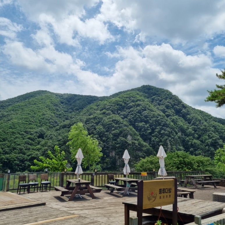 세종다방 이미지