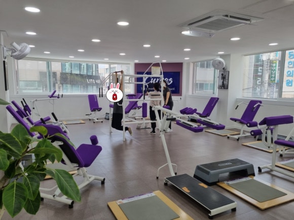 커브스전민클럽 이미지
