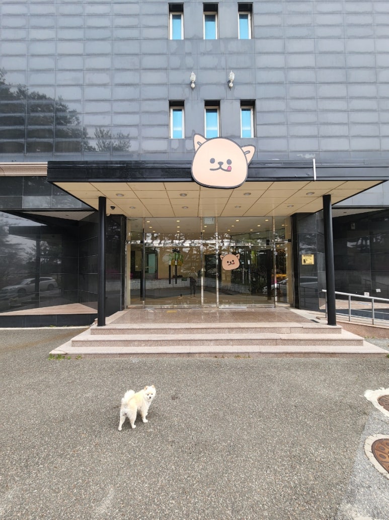 스튜디오산책 이미지