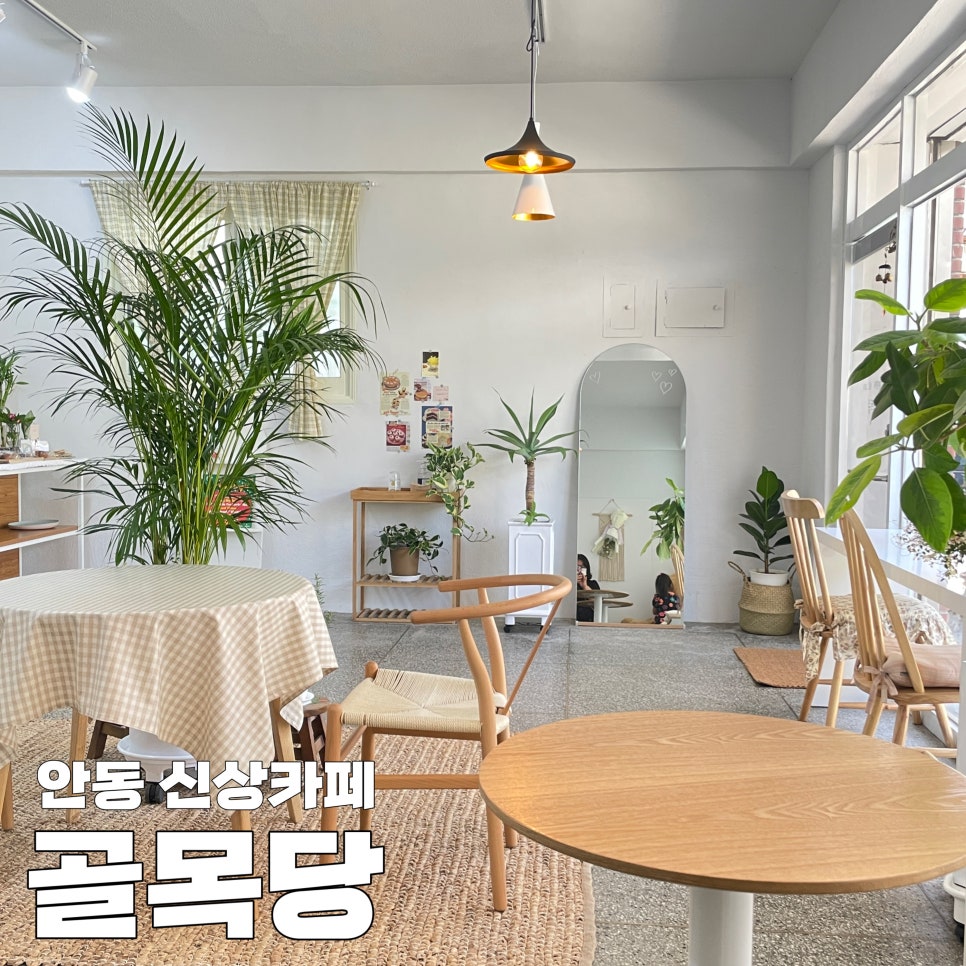 골목당 이미지
