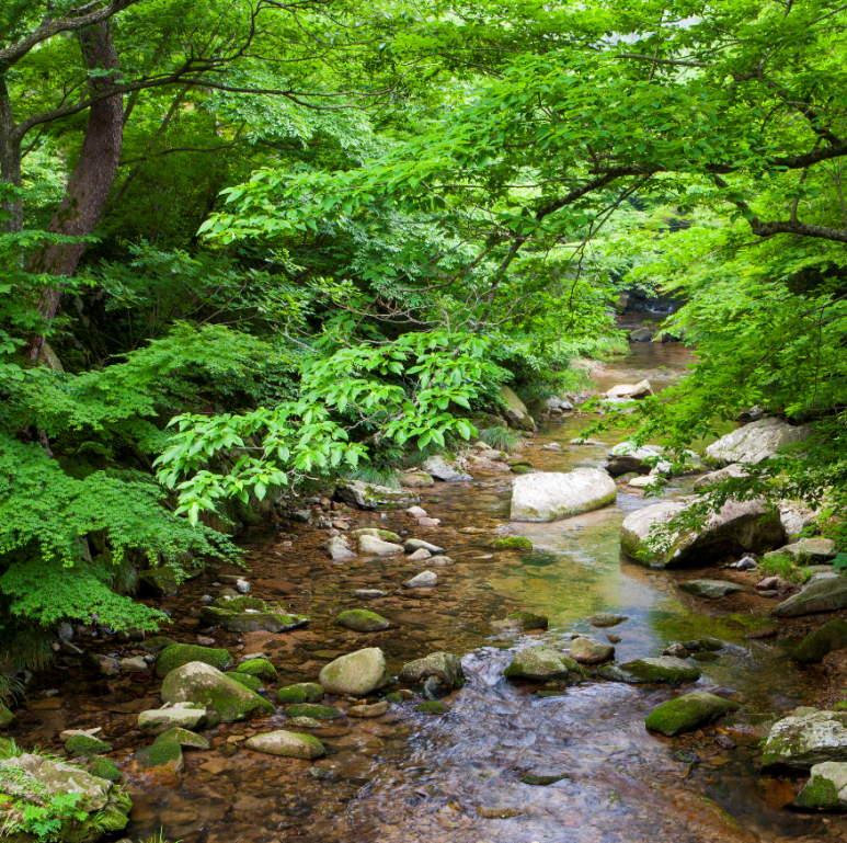 청담 관광농원 이미지