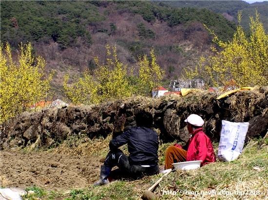 군입정 이미지