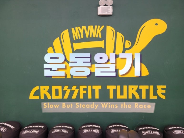 크로스핏터틀 이미지