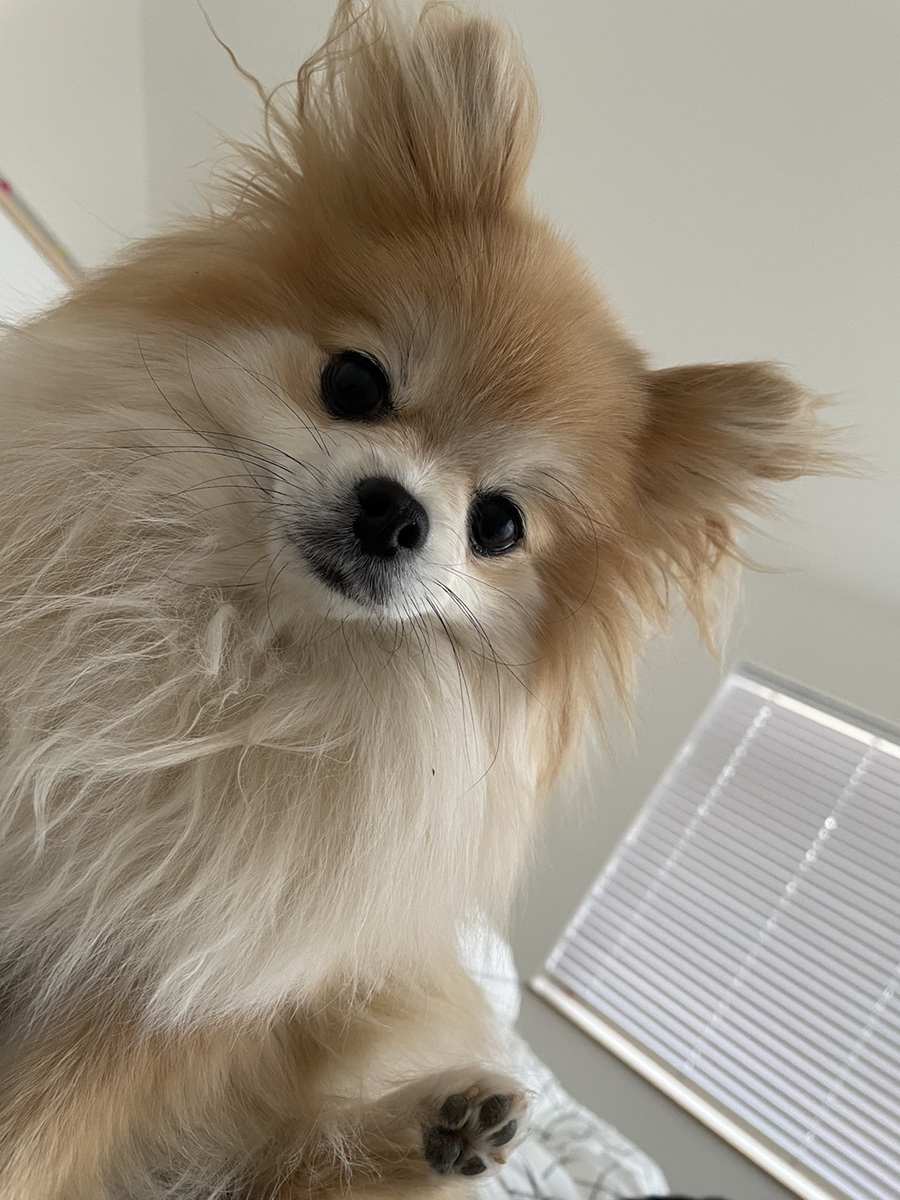 보리네민박 이미지