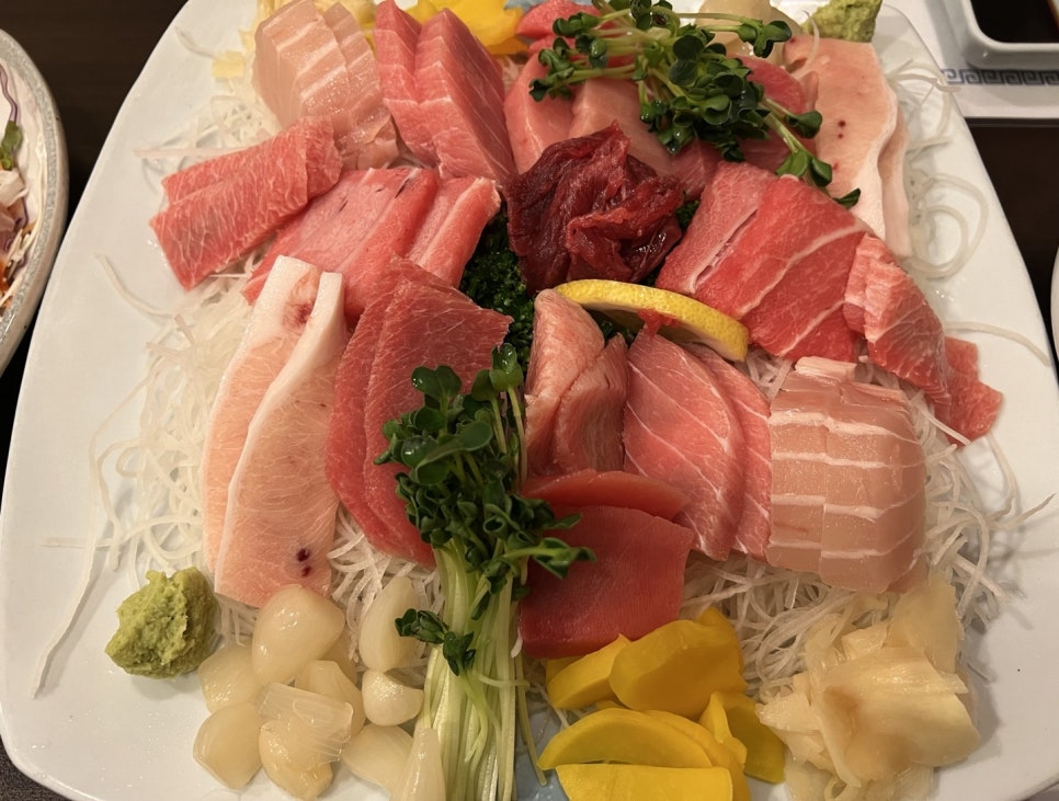참치광 이미지